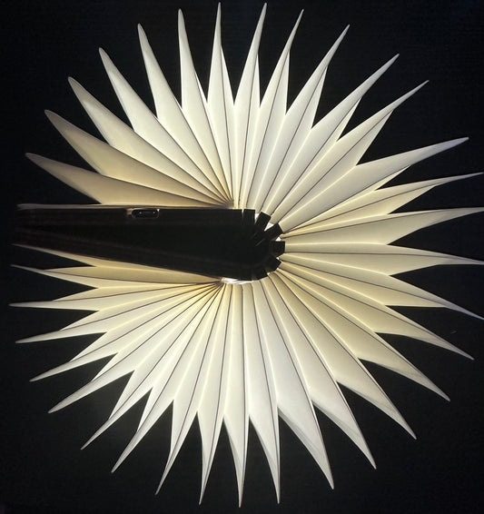 🎁 Unwrap the Wonder—30 Randomly Picked Bookish Gems for the Passionate Reader!