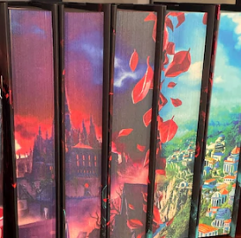 Premium Special Edition Book - 1 Unique Illustrated Edition with Distinctive Design Elements and Artwork Regular Edition