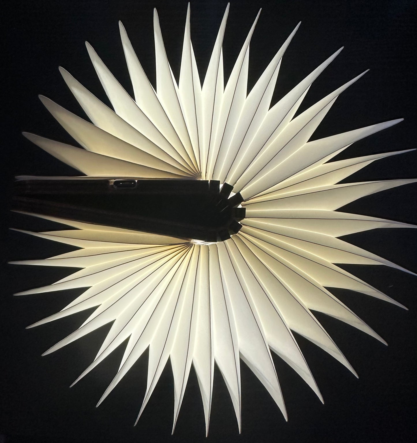 🎁 Unwrap the Wonder—30 Randomly Picked Bookish Gems for the Passionate Reader!